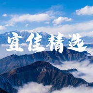 兰山区宜佳精选电子商务中心的小店