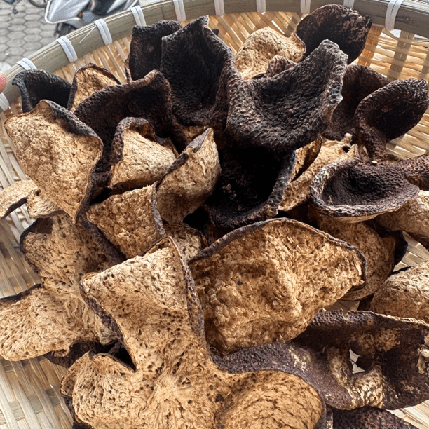 新会陈皮 2011年梅江原枝冬后 狗腩皮 花蜜香 冰糖甜