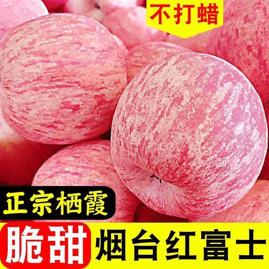 【一人领一箱】正宗山东烟台栖霞红富士苹果应季水果新鲜2/5/10斤