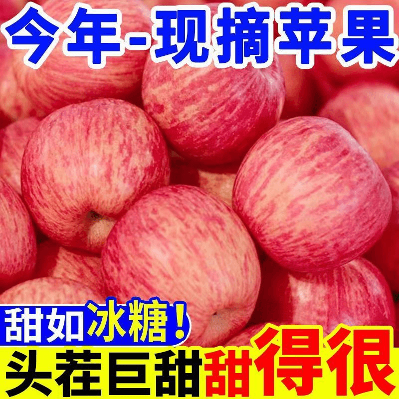 甘肃静宁红富士脆甜可口带箱5斤/10斤包邮霜降营养细腻多汁