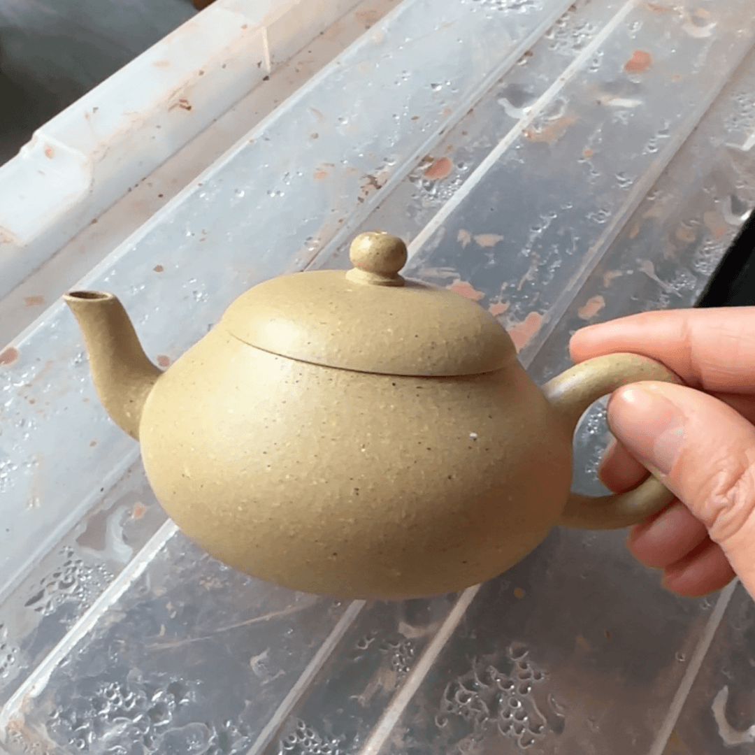 【闪购商品】紫砂茶壶梅**度
