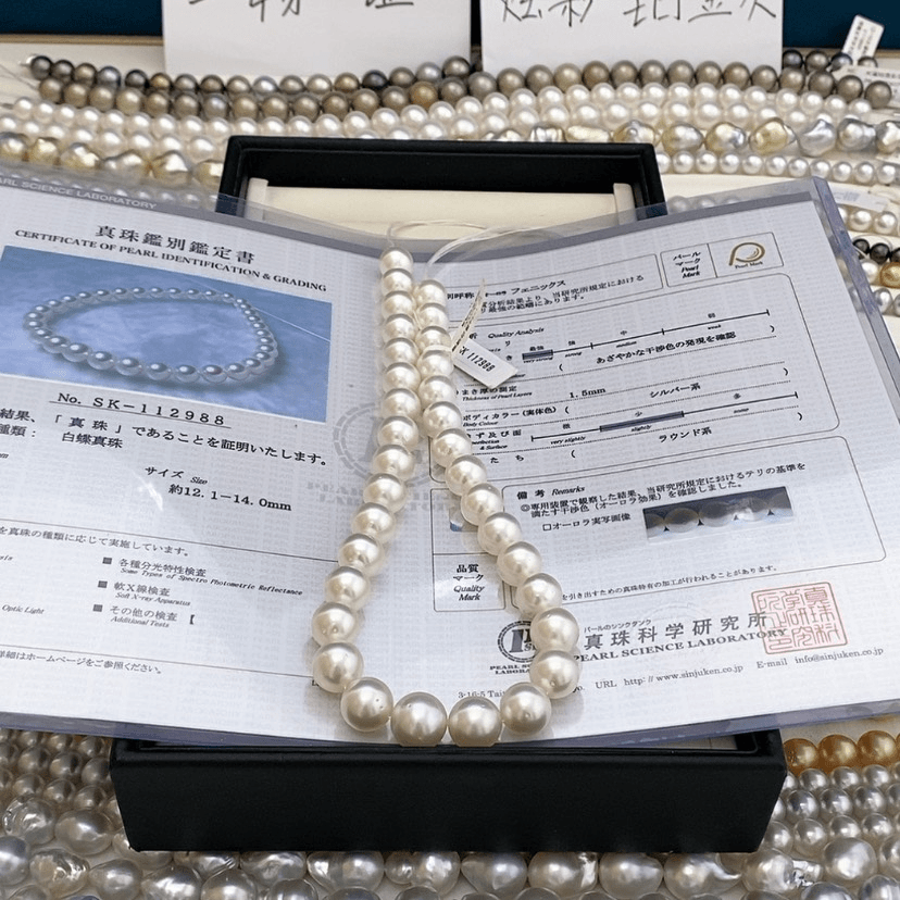 【闪购商品】海水珍珠项链未镶嵌向****…12.1-14澳白凤凰项链-1