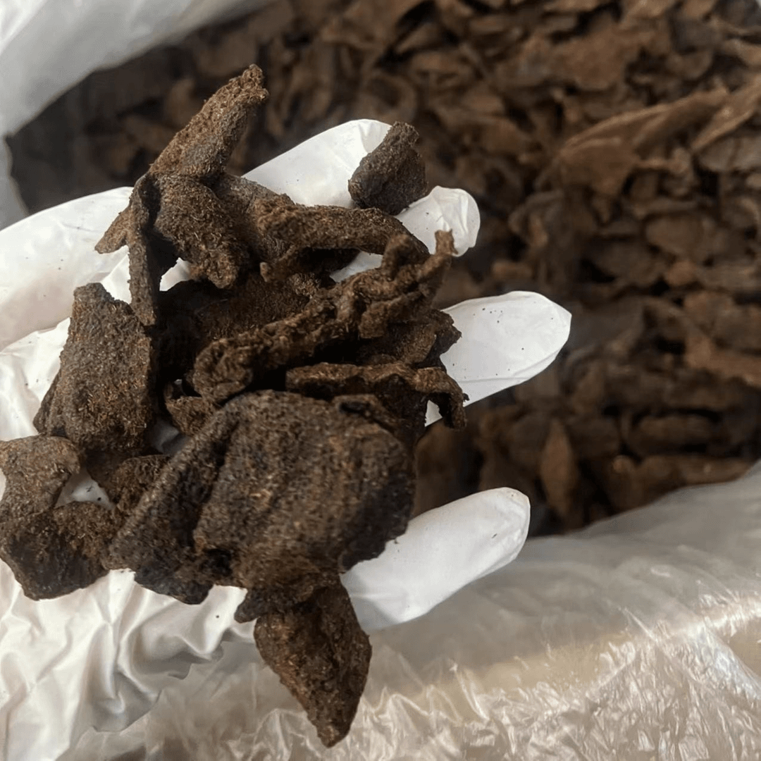 广东汕头【紫云】潮汕老陈皮回味儿时味道鱼胶1g-1000g散装