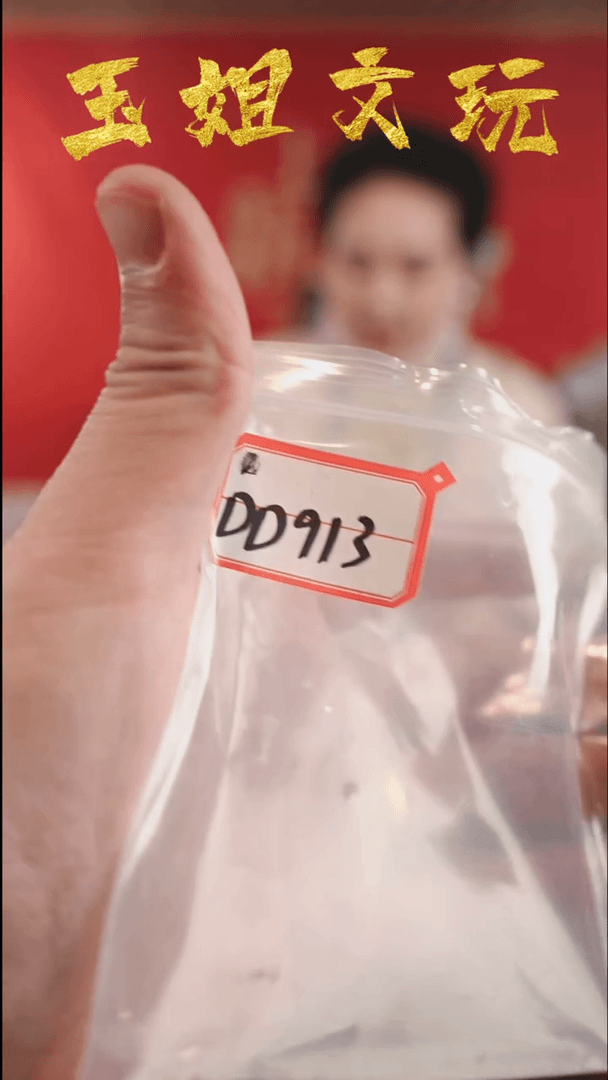 【闪购商品】dd913