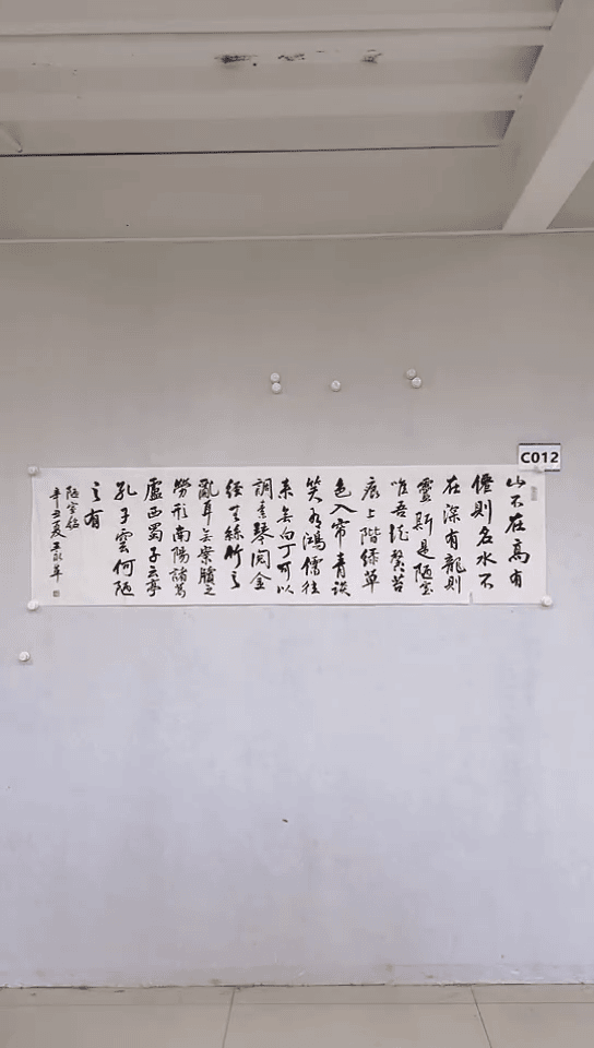 【闪购商品】绘画王永华C012