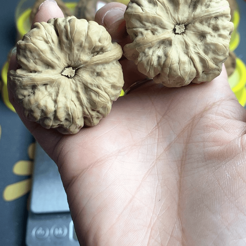 【闪购商品】文玩核桃吊坠沉**志
