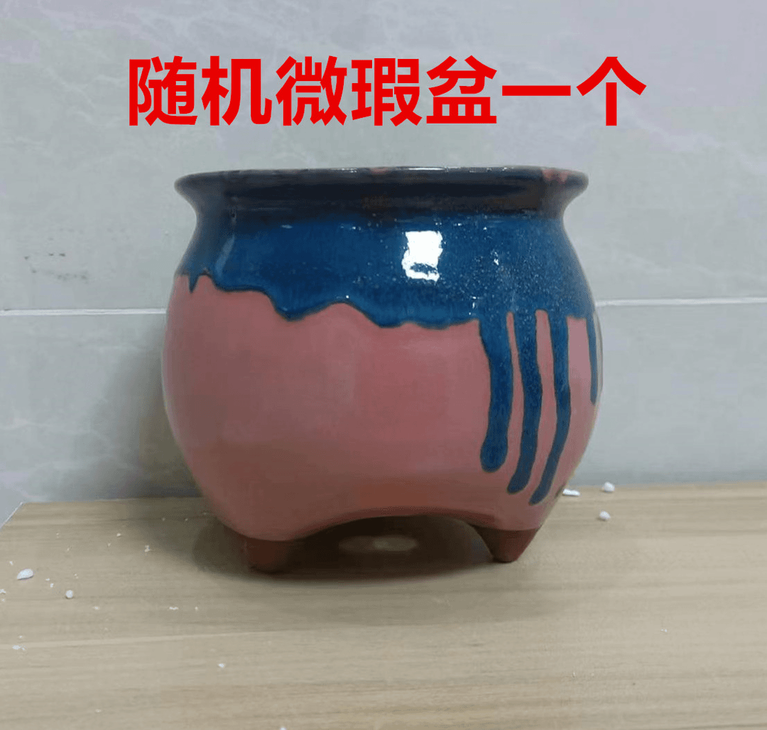 微瑕盆一个