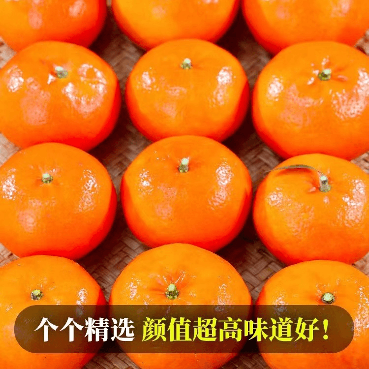 广西武鸣沃柑水果新鲜大果桔子橘子当季砂糖皇帝蜜柑整箱包邮皮薄
