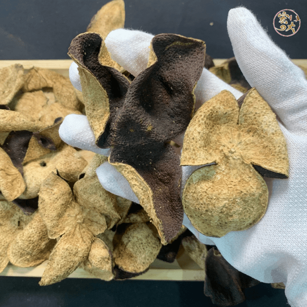 陈皮老陈皮干 泡水泡茶【宏大滋补鱼胶】食用