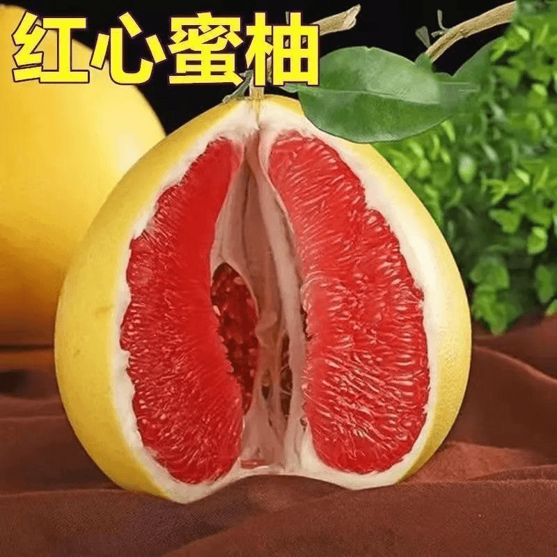 【红心蜜柚】两年苗盆栽地栽适合果园大面积种植