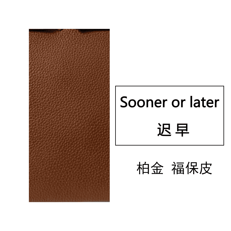 【觅 见】柏金 福保皮时尚休闲真皮棕色潮流单肩肩包时尚女士手提包