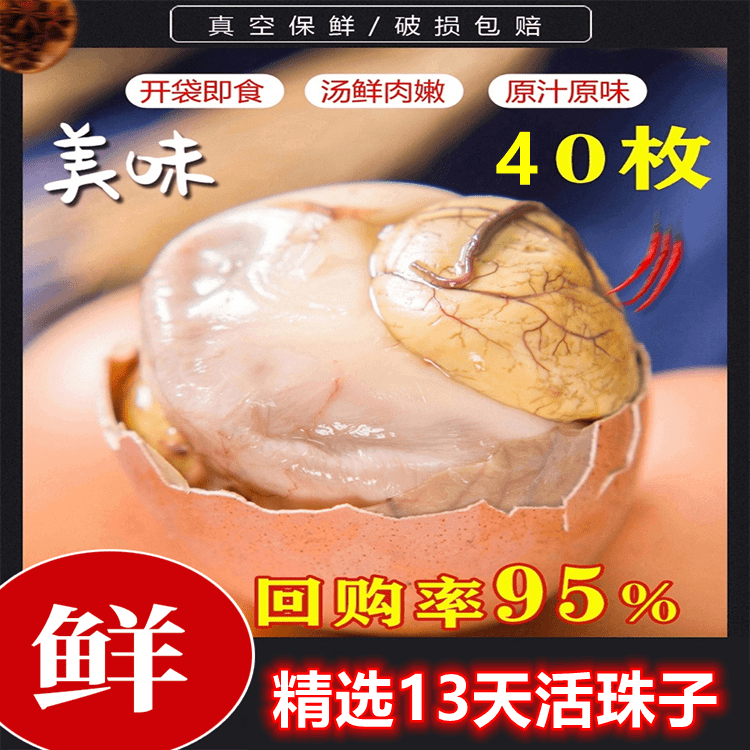 麻辣毛蛋香辣味活珠子13天多口味钢化蛋4-40枚毛蛋凤凰蛋鸡胚蛋