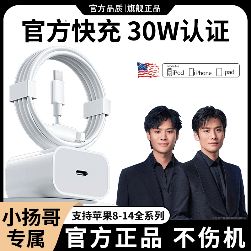 30W适用苹果充电器PD头快充数据线14/13平板手机原装充电线通用器