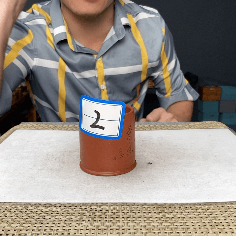 【闪购商品】紫砂茶壶