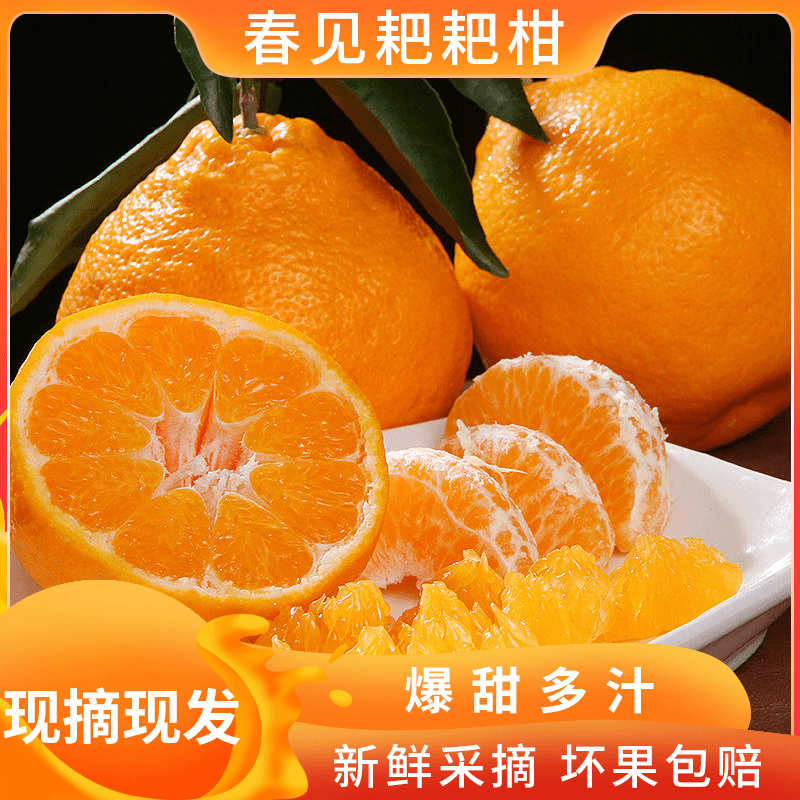 【飞飞福利】春见耙耙柑自然熟新鲜采摘柑橘4.5斤爆汁清甜爽口