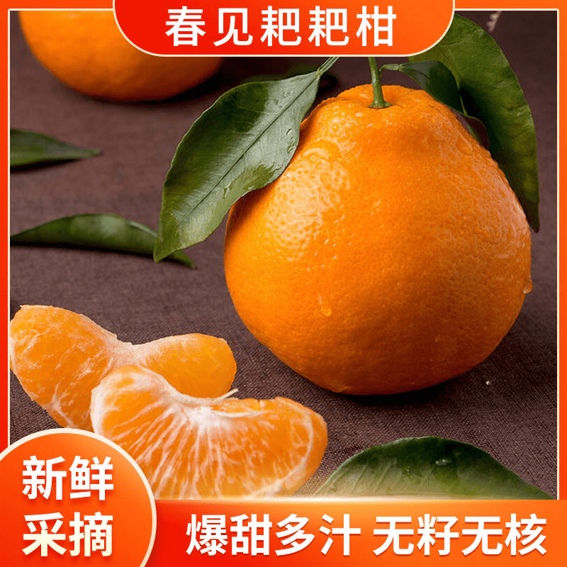 【福利】正宗四川春见耙耙柑新鲜水果现摘爆甜多汁8斤坏果