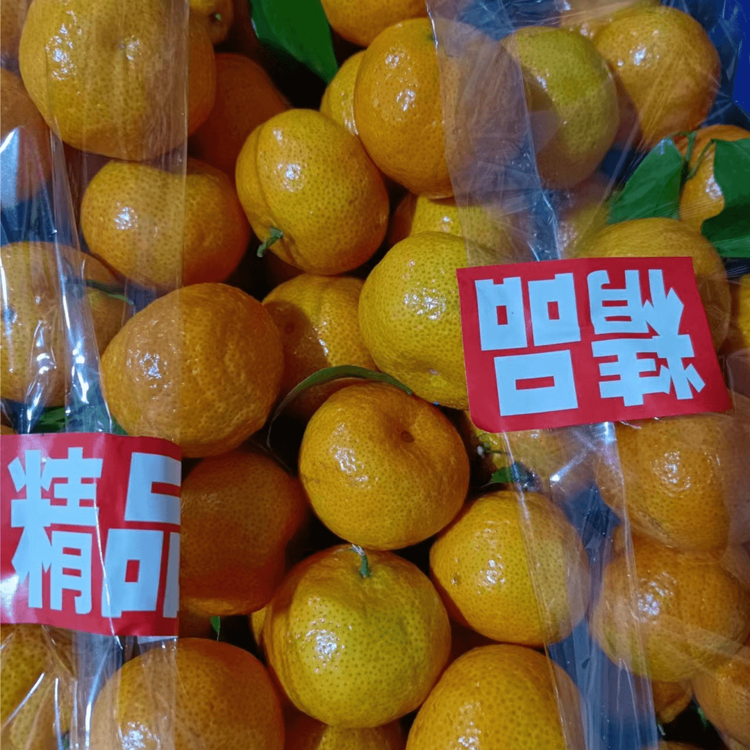 砂糖桔3斤装