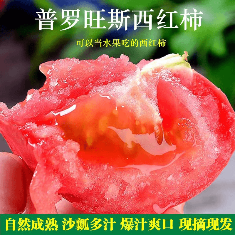 普罗旺斯西红柿3-5斤新鲜自然熟西红柿沙瓤蔬菜大番茄生吃包邮