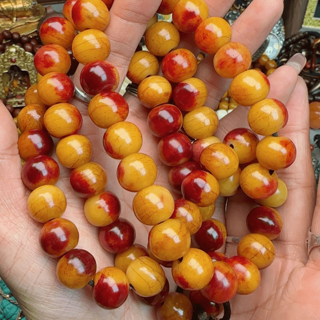 【闪购商品】菩提小*阳
