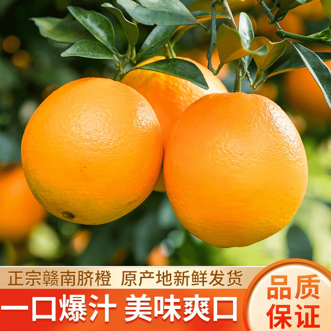 【新鲜带叶】正宗江西赣南脐橙新鲜皮薄爆汁手剥甜橙子赣州产地直发