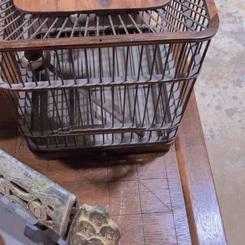 【闪购商品】密胺瓷片惊**浪