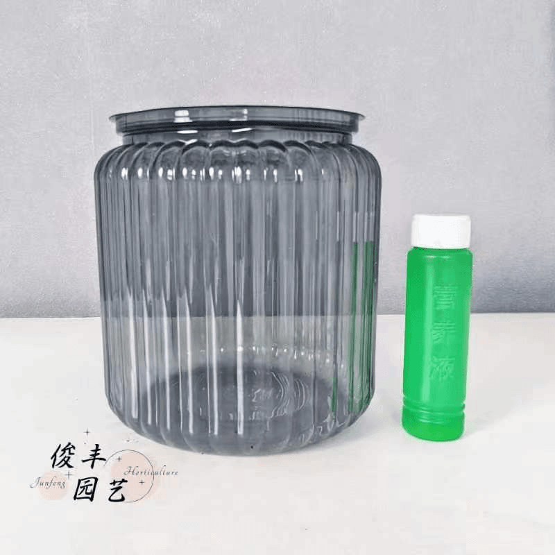 透明南瓜盆1+营养液