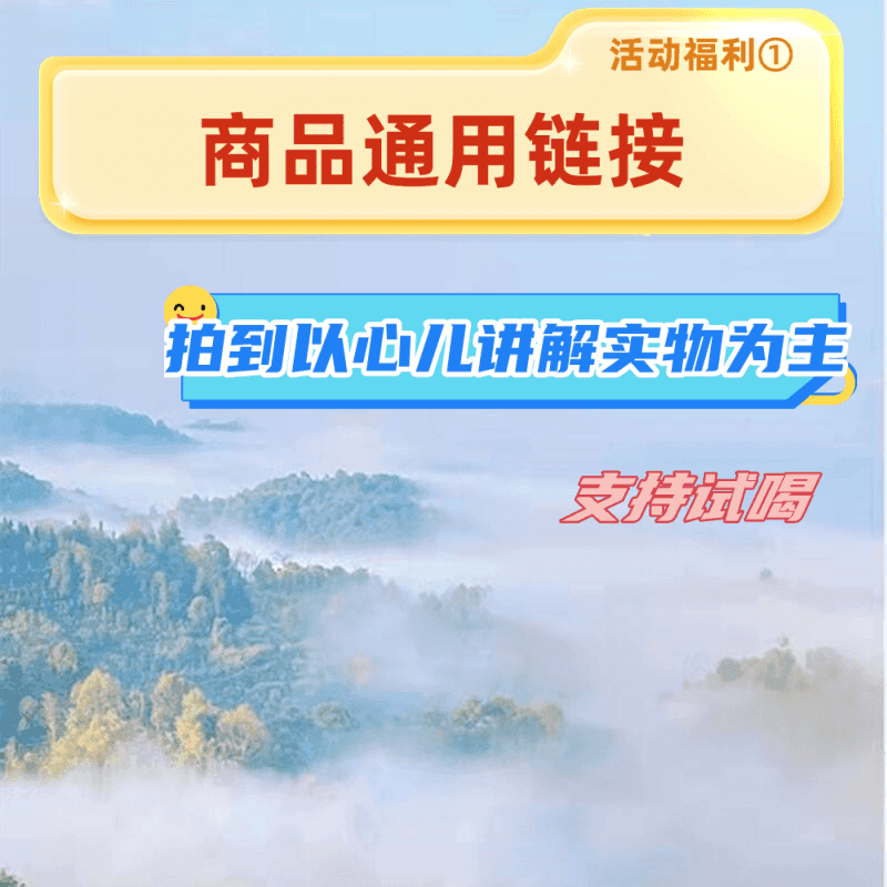 福利龙珠 头春料子 普洱茶 80g（十颗）
