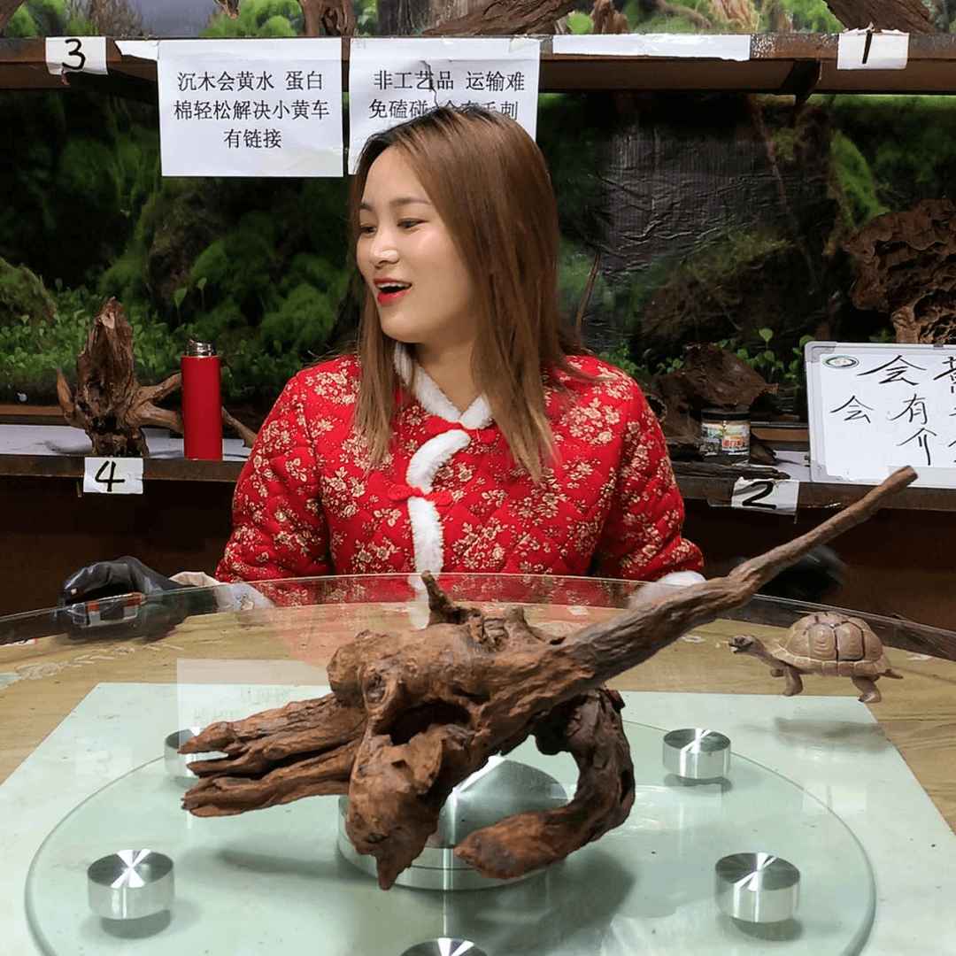 【闪购商品】密胺孙*文C21