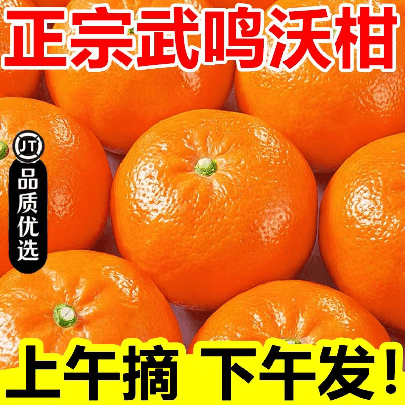 【下单即发】广西武鸣沃柑新鲜水果爆甜薄皮桔子蜜橘无籽非丑橘10