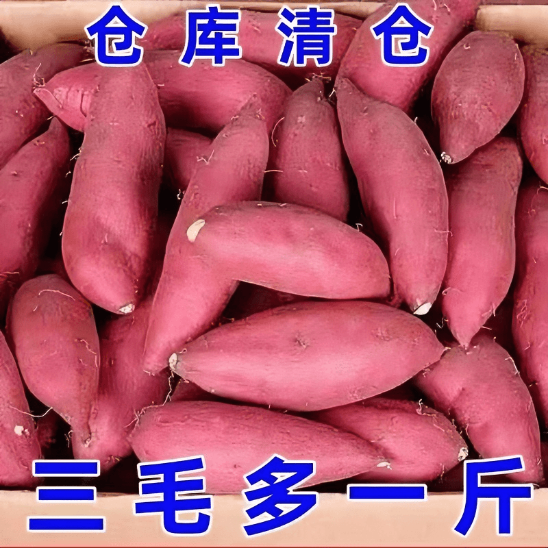 【现挖现发】超甜沙地红薯新鲜红黄心蜜薯地瓜1-9斤板栗番薯蔬菜甜