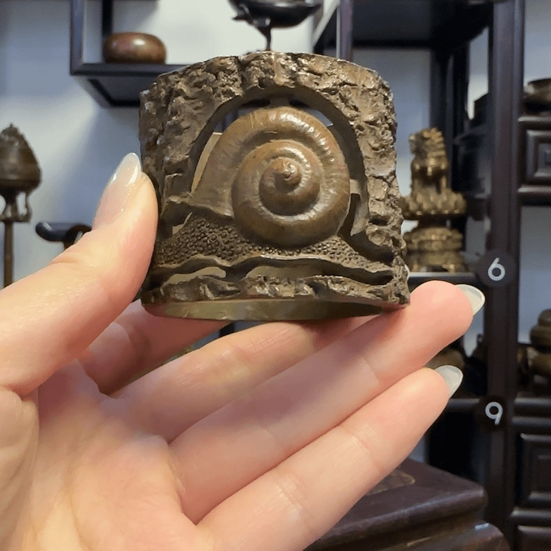 【闪购商品】書下杜*茶宠