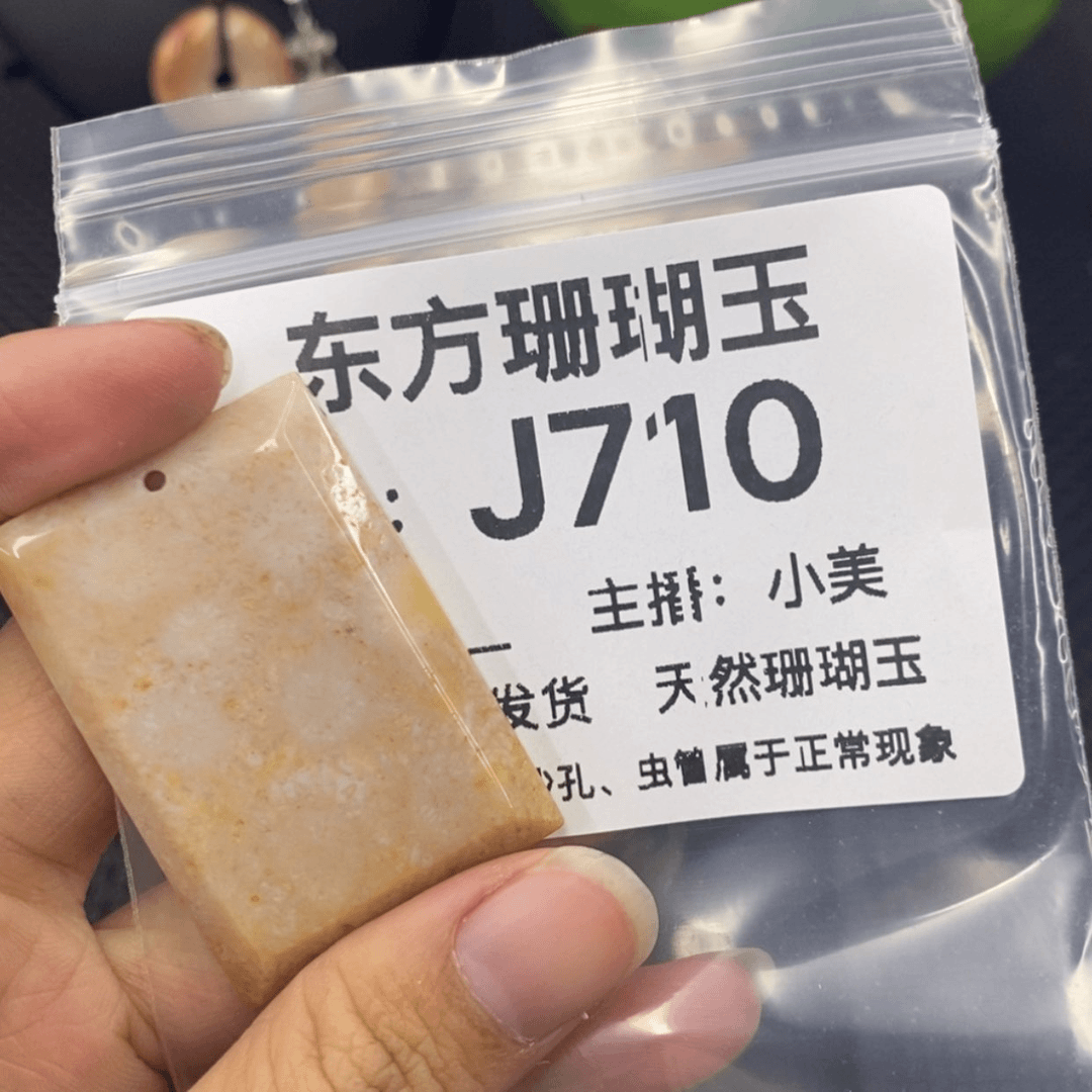 【闪购商品】硅化珊瑚（珊瑚玉）颈饰未镶嵌青****a