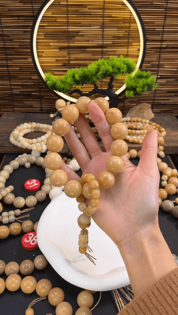 【闪购商品】菩提根/象牙果手串风化14颗