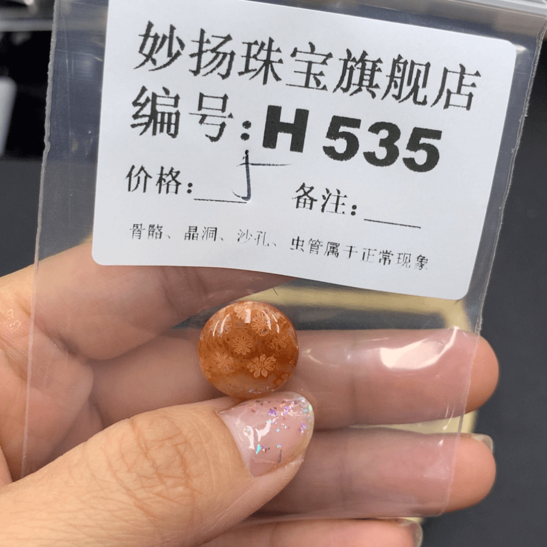 【闪购商品】硅化珊瑚（珊瑚玉）1未镶嵌?****开