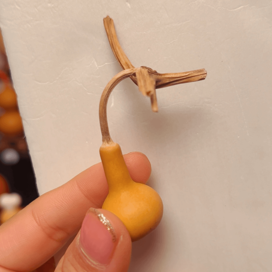 【闪购商品】天然葫芦