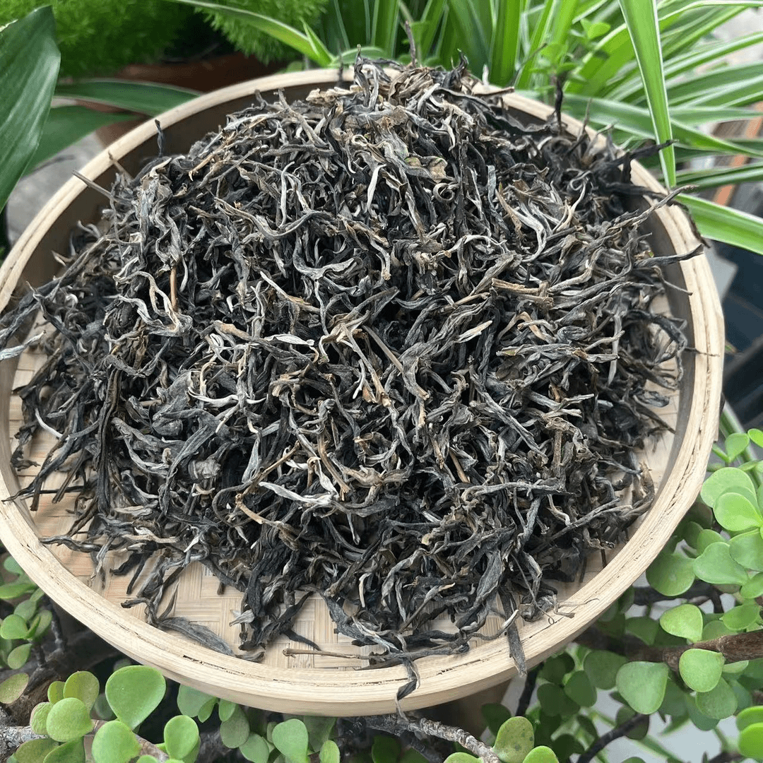 【供销茶叶集团】茶农依木 2023年 冰岛湖 森林混采  生 散茶 50g