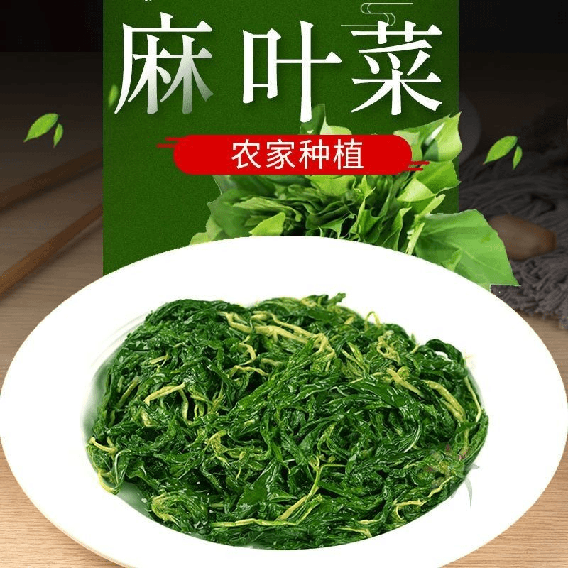 2023麻叶菜潮汕潮阳特产新鲜蔬菜半成品精选麻叶特制/0lb蔬菜组合