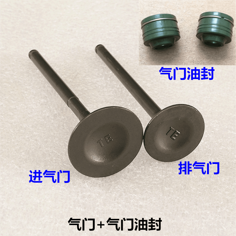 适用于新大洲本田CG125国三款SDH125-7D 7E原装气门 气门油封气门