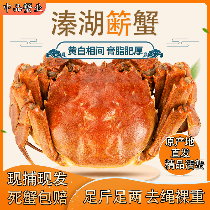 【溱湖簖蟹】 精品全公蟹 3.0两*10只 现捕活蟹直发 泰州空运发货