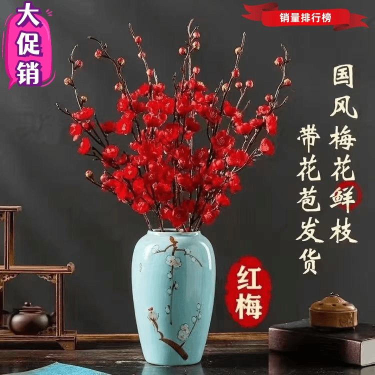 干枝红梅腊梅鲜花腊梅枝条干花枝花卉植物室内花水培植物遇水开花