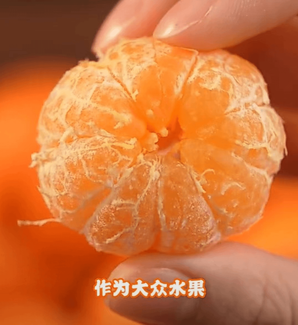 沙糖桔