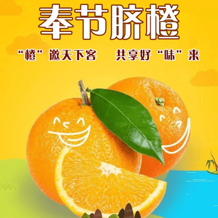 （坏果必赔）[顺丰快递] 零下保温袋专用