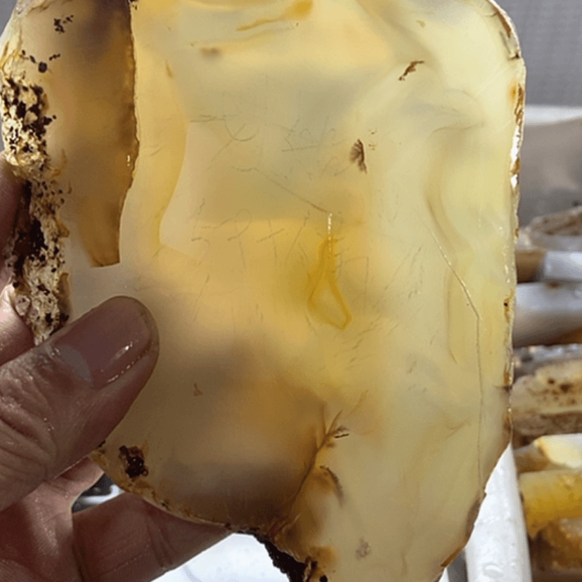 【闪购商品】定制玛瑙手镯未镶嵌划**雨