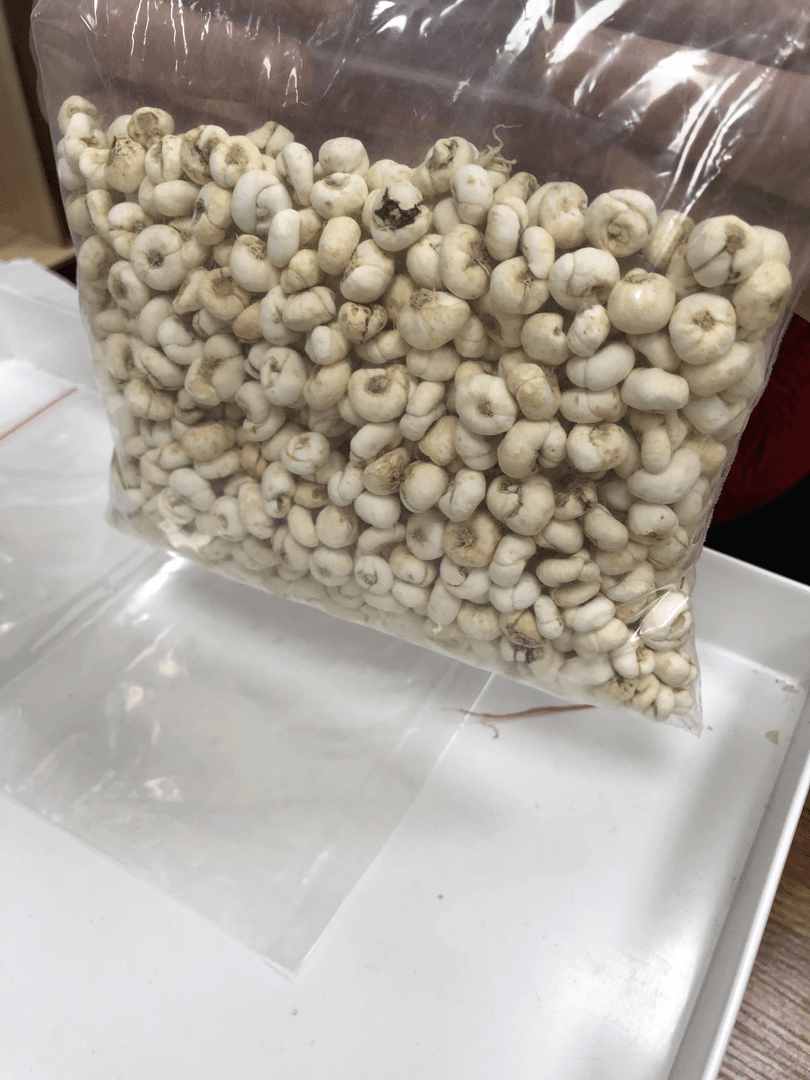 川贝-1-500g-珠姐食品