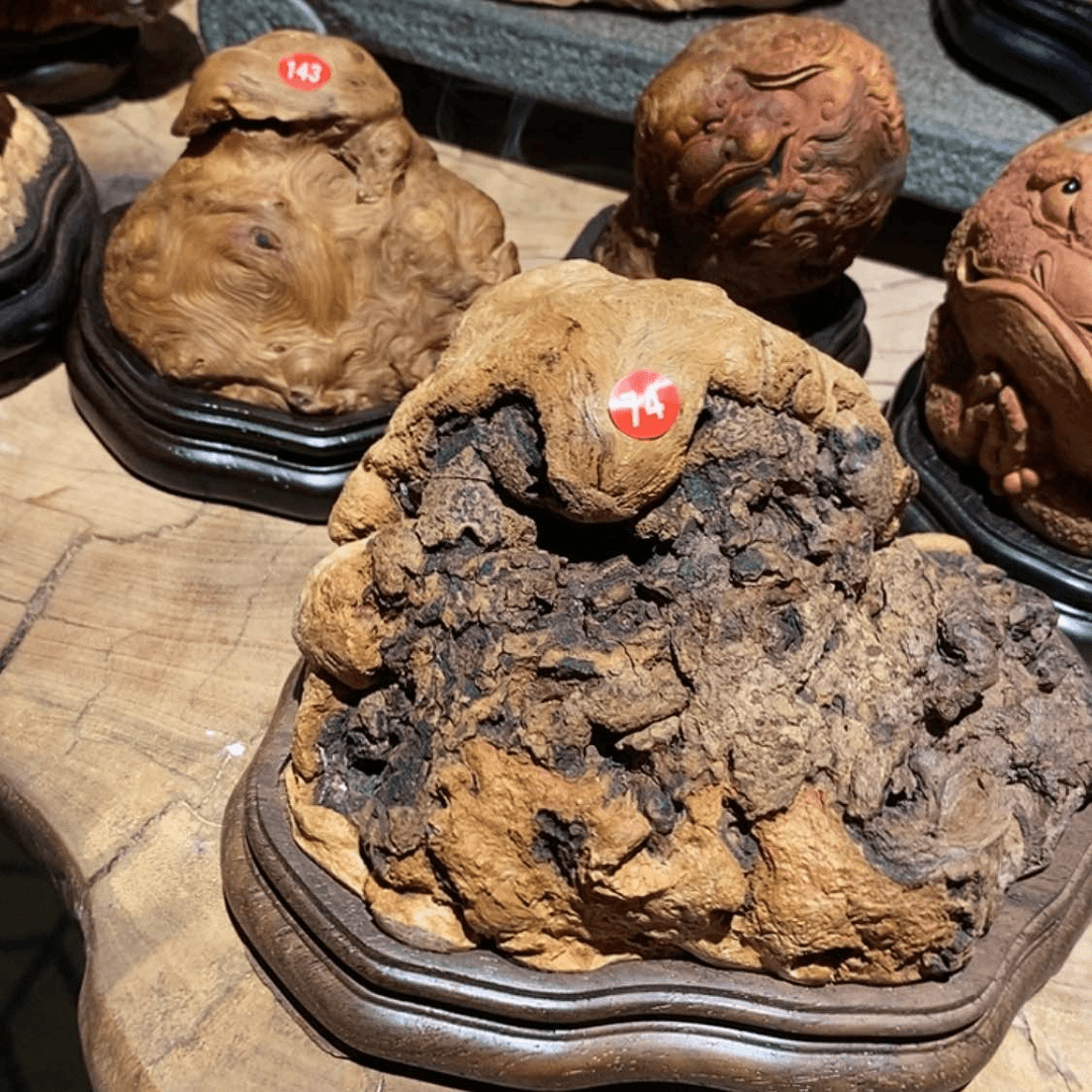 【闪购商品】荔枝木飞