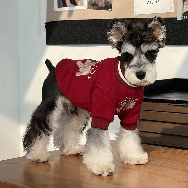 狗狗衣服秋冬过年衣服泰迪比熊雪纳瑞新年装保暖加绒红色宠物服