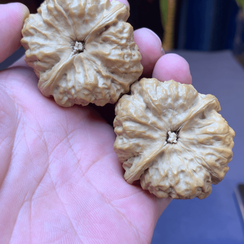 【闪购商品】文玩核桃吊坠1*