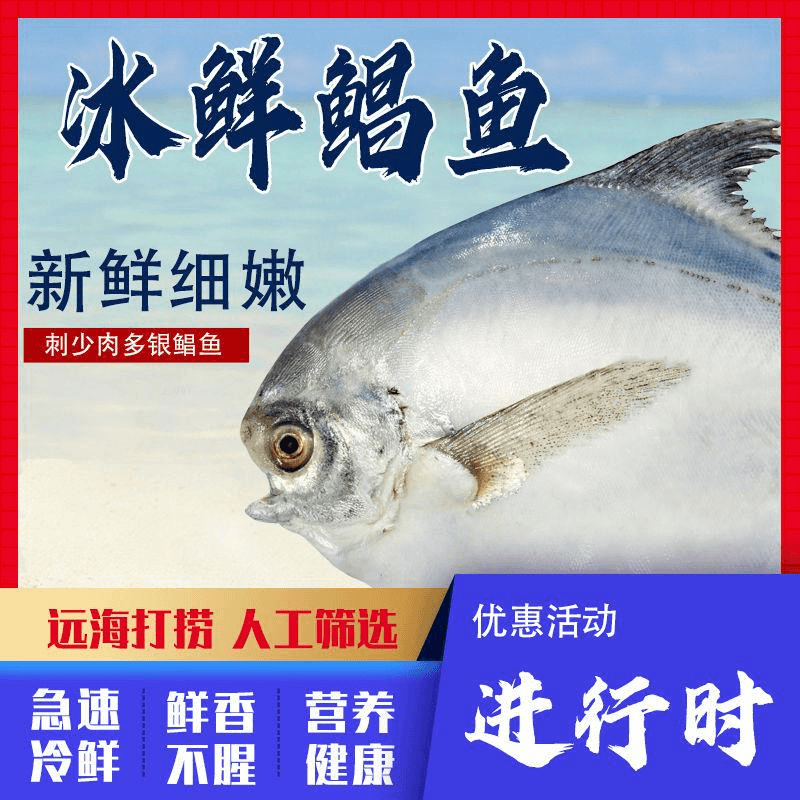 银鲳鱼野生渤海捕冰鲜鲜活扁鱼平鱼海鱼新鲜鳊鱼冷冻水产批发海鲜