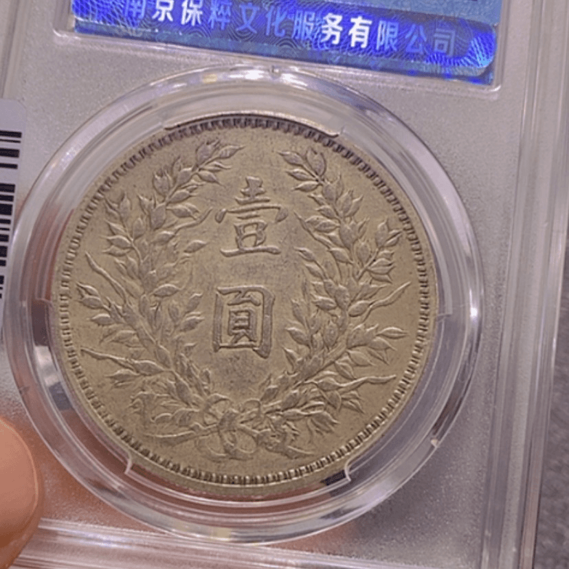 【闪购商品】银徐*远大头