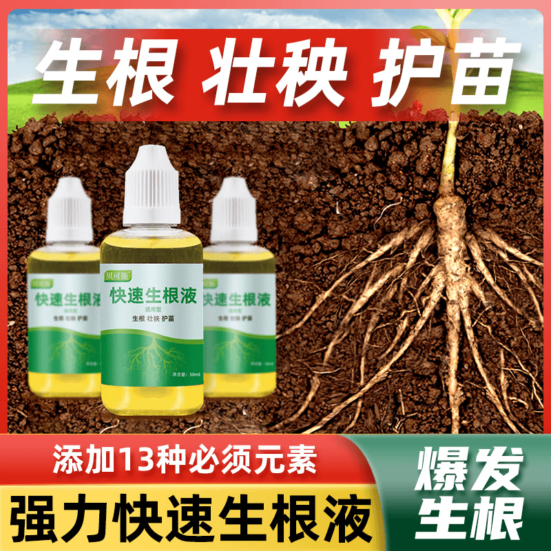 贝可施快速生根液套餐粉剂移栽扦插营养液植物通用强力多肉壮苗